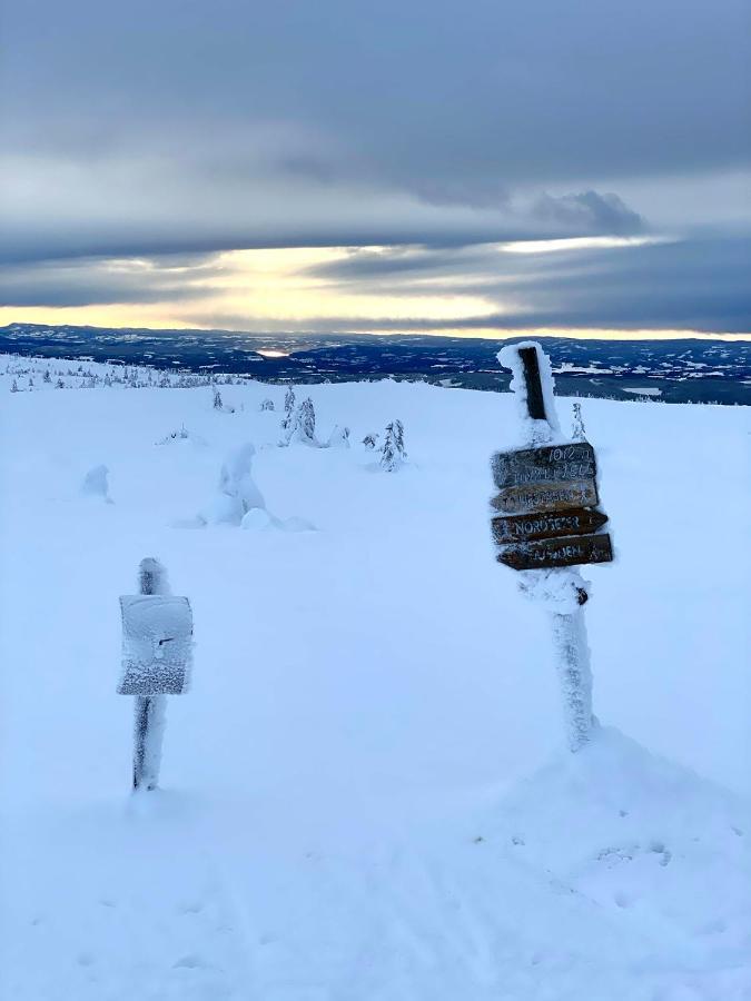 Lys Og Moderne Leilighet Rett Ved Skiloypa Pa Nordseter - Kort Vei Til Sjusjoen, Lillehammer Og Hafjell - Dyr Ikke Tillatt Luaran gambar
